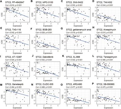 A Pan-Cancer Analysis Reveals the Prognostic and Immunotherapeutic Value of Stanniocalcin-2 (STC2)